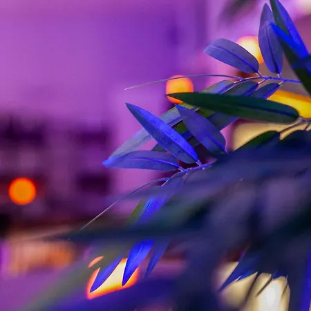 酒店 Providence 维泰勒