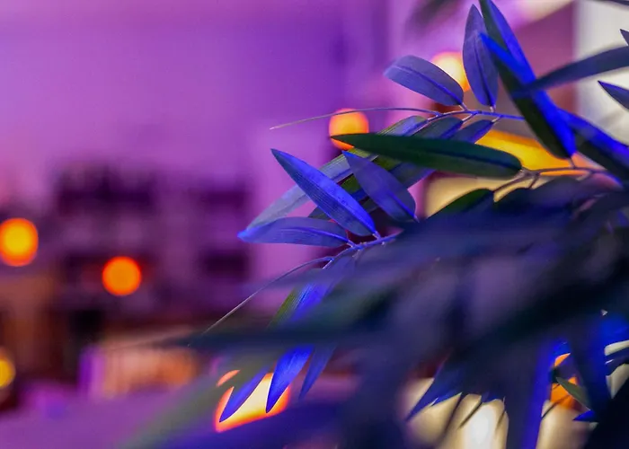 Szálloda Providence Vittel